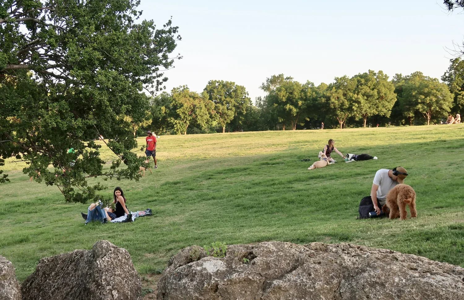 New nonprofit launches to preserve Zilker Park for current and future generations