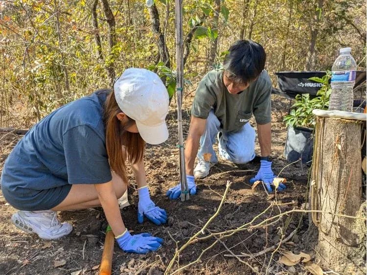 Stewarding Zilker Park: A Labor of Love