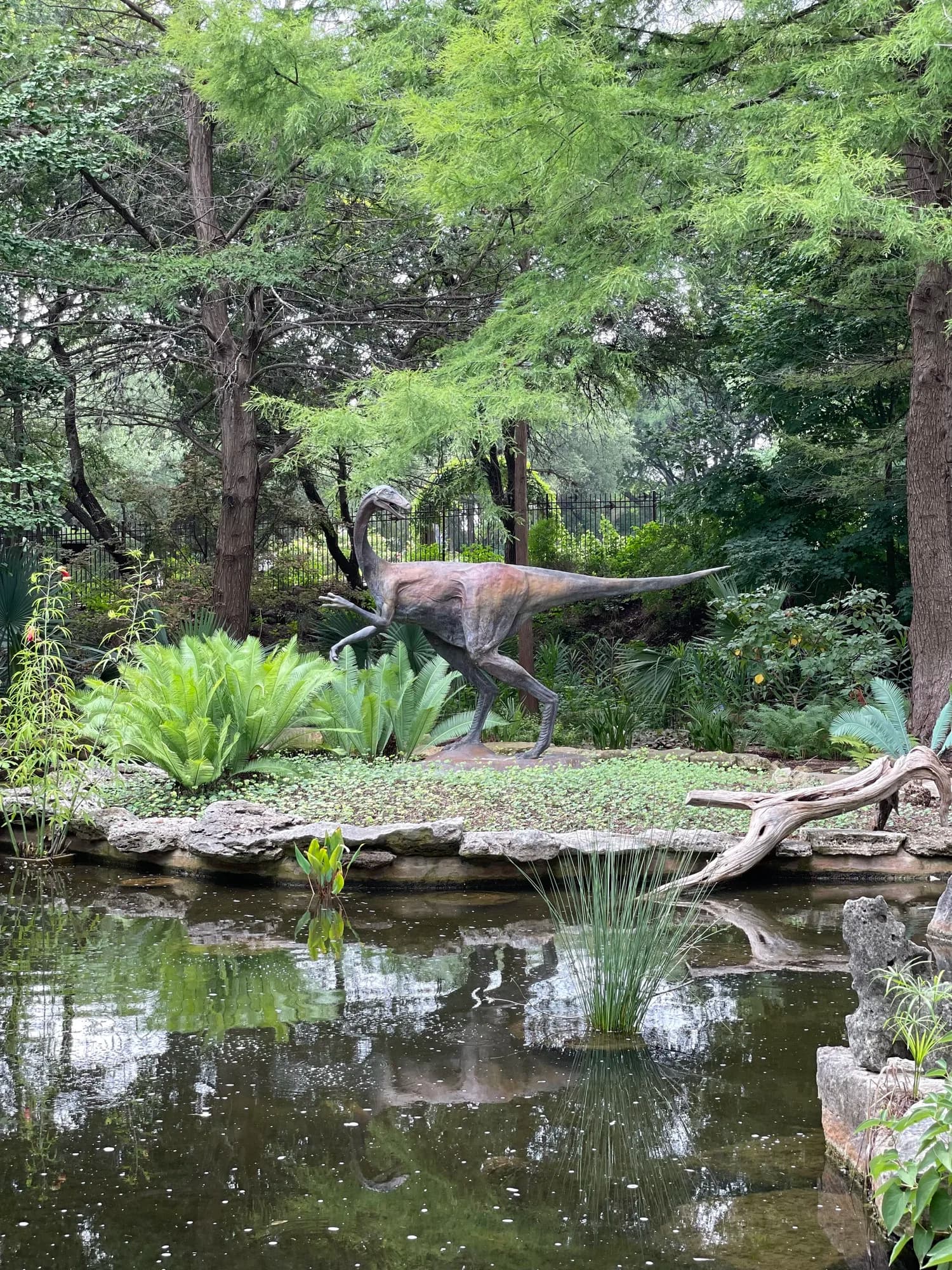 A dinosaur sculpture beside the pond at the Austin Nature & Science Center