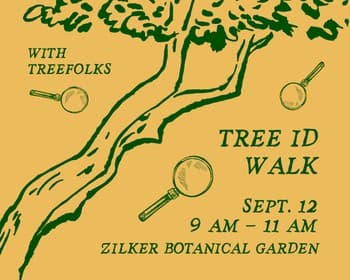 Tree ID Walk with TreeFolks