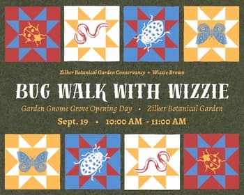 Garden Gnome Grove: Bug Walk with Wizzie Brown