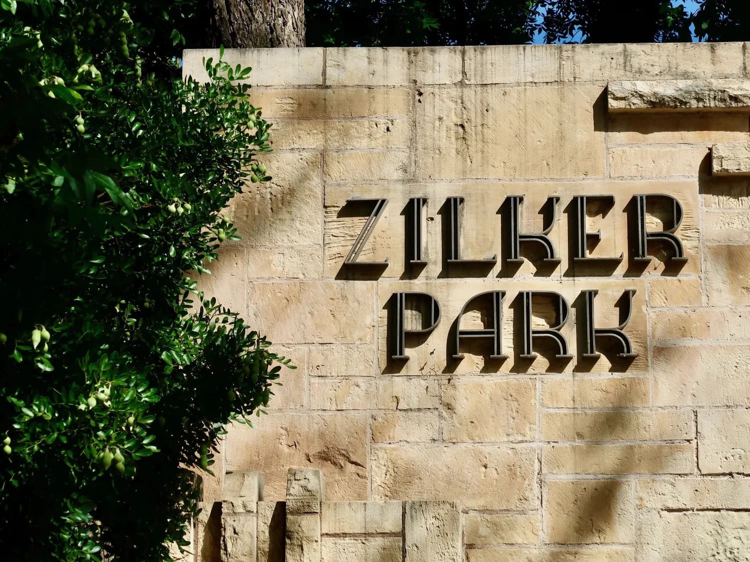 New cooperative nonprofit will "honor, preserve, and enhance" every acre of Austin's Zilker Park