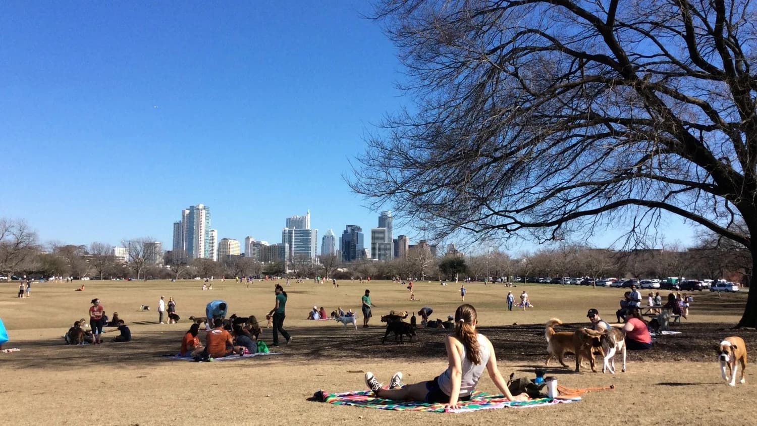 New nonprofit created to preserve, enhance Zilker Park