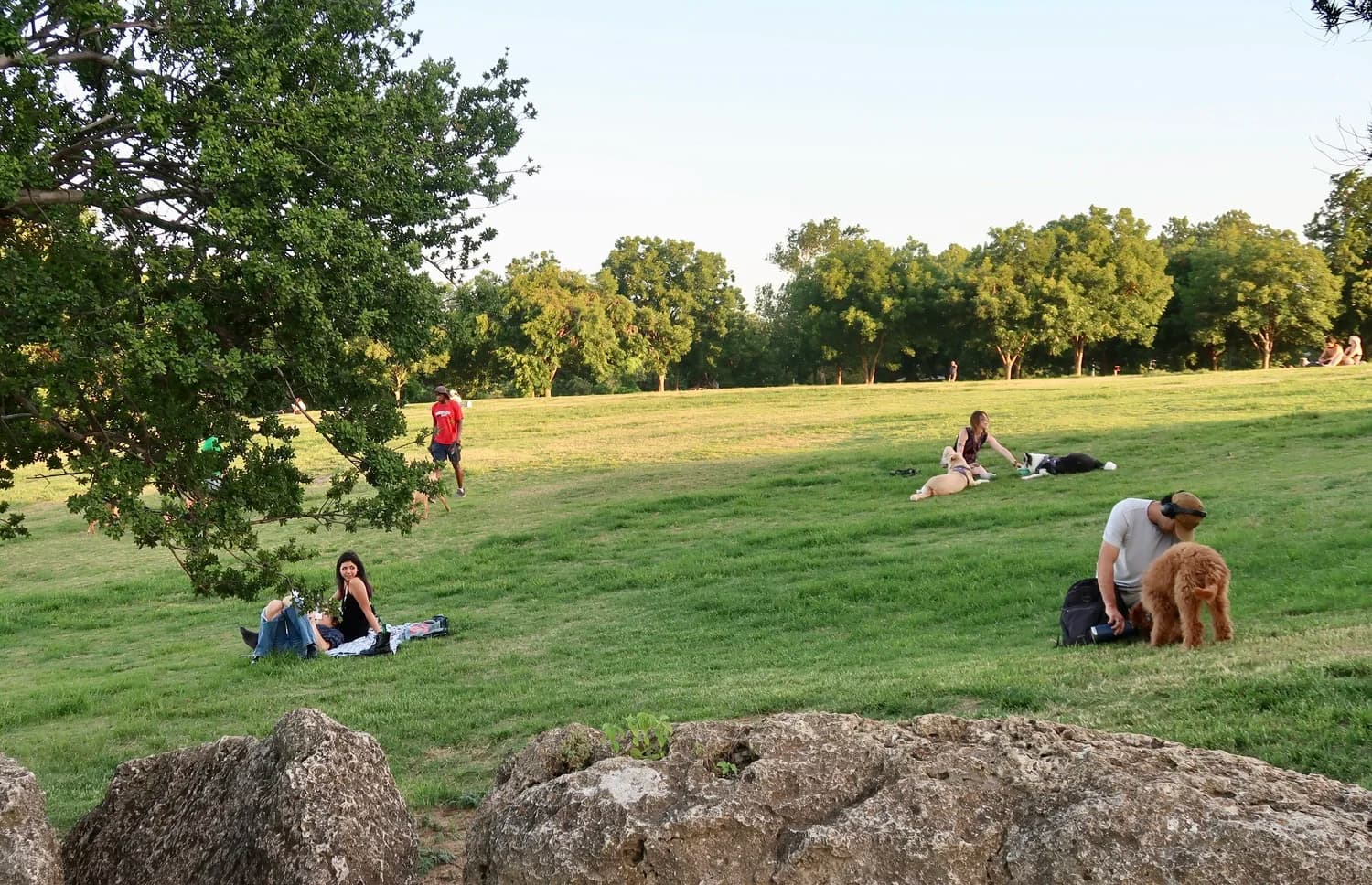 New nonprofit launches to preserve Zilker Park for current and future generations