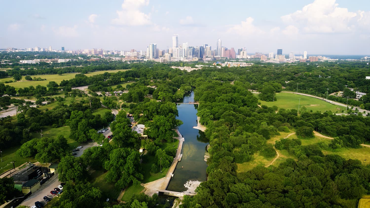 Zilker Park Woodland Tree Canopy Project