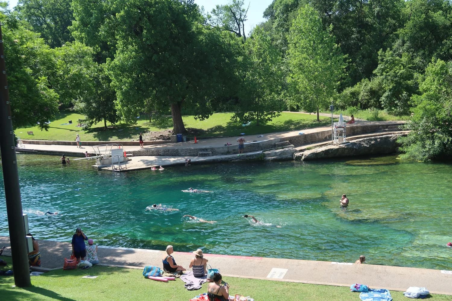 Swimmers in the clear green spring water of Barton Springs Pool